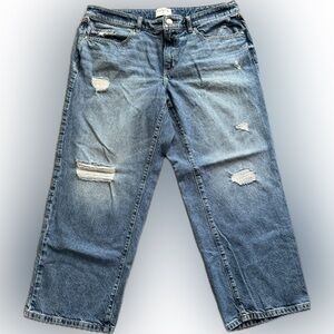 Lane Bryant Mid-Rise Signature Fit Relaxed Straight Leg Jeans